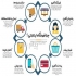 طراحی سایت و برنامه نویسی حرفه ای در شمیرانات طراحی حرفه ای سایت