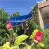 فروش سایبان و چتر در تهران سایبان چتر مغازه فروش انواع چتر با سازه