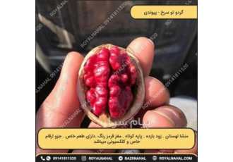 گردو تو سرخ کشور در میاندوآب منشا گردو تو سرخ کشور لهستان است