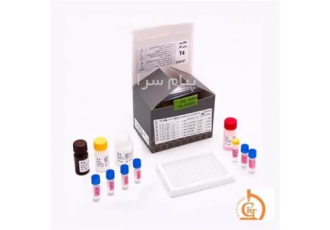 کیت الایزا در تهران انواع کیت الایزا در آزمایشگاه در آزمایشگاه تشخیص