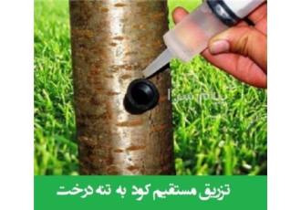 دفع کامل کرم خراط و رفع سیاه شدن مغز گردو