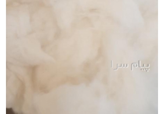 فروش پنبه کمپرسفید کمپررنگی(۶۴ ) در قرچک در صنایع هیدروفیل عروسک