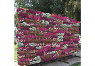 فلاورباکس طبقاتی شهری دیوار گل سه بعدی مدل  B-10