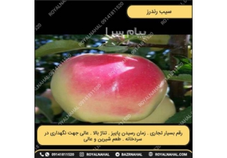 خرید نهال سیب رندرز در میاندوآب نهال سیب رندرز نام سیب رندرز منشا