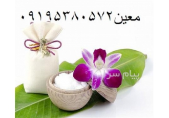 فروش کافور