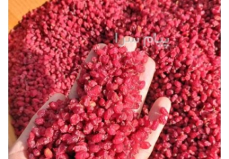 فروش انواع زرشک پفکی صادراتی