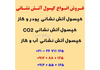 خرید کپسول آتش نشانی در تهران فروش انواع کپسول آتش نشانی خرید کپسول آتش