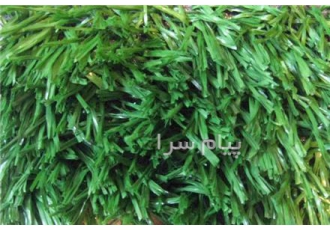 اجاره چمن مصنوعی