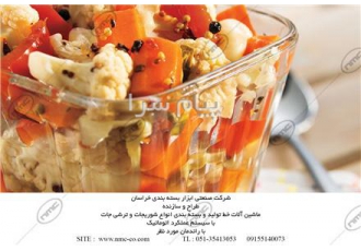 ساخت خط تولید ترشی    شوری و سالاد شور
