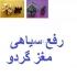 تزریق مستقیم کود مایع ویژه تزریق به تنه درخت در تهران تغذیه کامل انواع