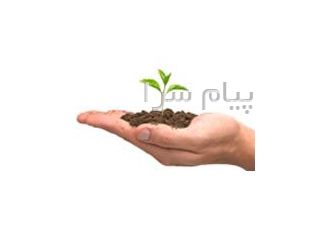 کود آهن ، کودNPK ، کود شیمیایی، کود اسپانیایی