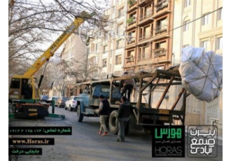 جابجایی درخت در تهران بیژن صمغ آبادی با مجربترین تیم متخصص جابجایی