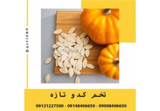 فروش مغز تخمه کدو مخصوص روغنگیری و فروش روغن کدو