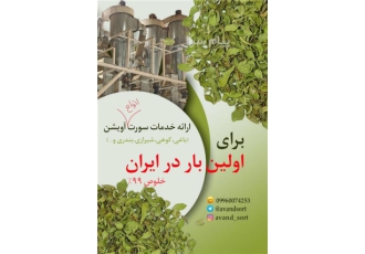 خدمات سورت و بسته بندی گیاهان معطر و سبزیجات خشک