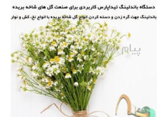 ماشین گره زن برای دسته کردن گل شاخه پس از برداشت در محلات ماشین گره زن