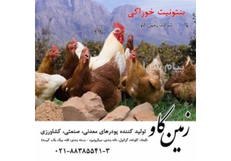 اثرات بنتونیت فرآوری شده در جیره طیور Zeolite در تهران بنتونیت خوراکی