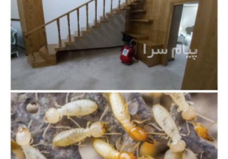 سمپاشی تخصصی موریانه و ساس به روش ipm و فاگزوم در شیراز گروه مهندسی