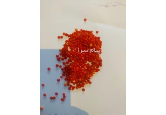 گرانول عدسی پ پ نارنجی و رنگی  ده تن