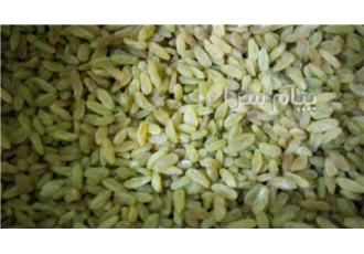 تولید کننده کشمش کاشمر