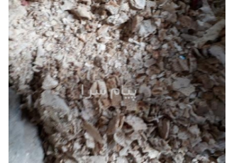 فروش نان خشک ، ضایعات نان خشک ، فروش نون خشک