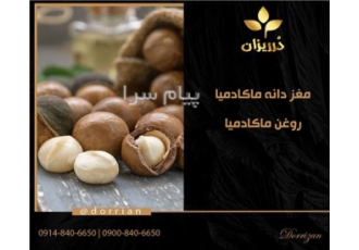فروش مغز ماکادمیا سالم و روغن ماکادمیا