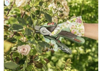 قیچی باغبانی شارژی بوش مدل easy prune
