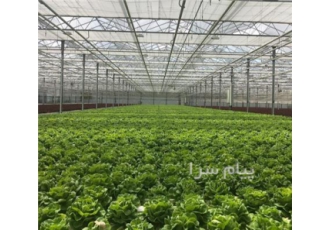 فروش نصب و اجرای گلخانه شیشه ای و پلاستیکی با تجهیزات در تهران
