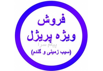 پریژل فروش انواع پری ژل فروش پریژل گندم فروش پریژل سیب زمینی