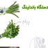 ماشین گره زن برای دسته کردن گل شاخه پس از برداشت در محلات ماشین گره زن