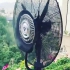 اجاره پنکه مه پاش ( پنکه رطوبت ساز ) در تهران اطلاعات پنکه ها مه پاش