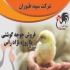 فروش انواع جوجه گوشتی راس پلاس در تهران جوجه یکروزه گوشتی کاب جوجه