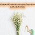 ماشین گره زن برای دسته کردن گل شاخه پس از برداشت در محلات ماشین گره زن