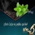 اسانس مقاوم به حرارت آلبالو فرانسوی در تهران اسانس مقاوم به حرارت