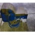 گیره رومیزی ۱۲۵ سنگین سندان‌دار سالم در تهران گیره رومیزی 125 سنگین