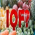 ساخت اسپیرال فریزر Iqf ساخت اسپیرال فریزر یا iqf جهت انجماد سریع