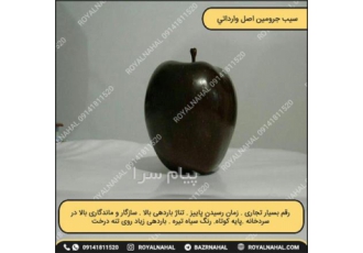 خرید نهال سیب جرومین اصل در میاندواب نهال سیب جرومین اصل دارای رنگی