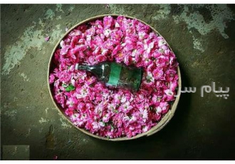 تولید کننده گلاب دوآتیشه قمصر کاشان