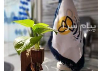 بیمه پارسیان نمایندگی مهدوی کد ۵۰۴۵۵۴ در آمل بیمه پارسیان با صدور انواع