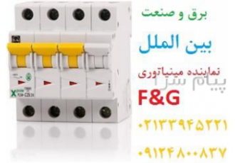 فروش کلید مینیاتوری شرکت F&G اف و جی