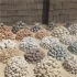 فروش شن و ماسه شن رنگی شن بستر سازی در رشت گروه معادن شن و ماسه رضایی