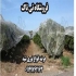 توری ضد سرما توری محافظ گلخانه در شیراز توری ضد سرما توری محافظ