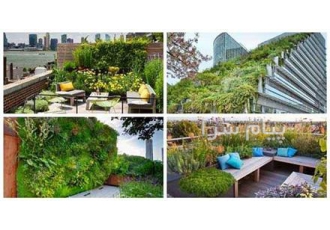 اجرای روف گاردن در تهران گروه مهندسی آژمان پیشرو در طراحی و اجرای روف