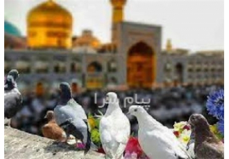 تور مشهد با پرواز ایران ایر تور اقامت در هتل ۱ ستاره در تبریز تور مشهد