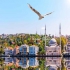 تور ترکیه ( آنتالیا + استانبول + دبی ) در تهران تور آنتالیا استانبول