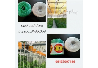 نخ  بوته
