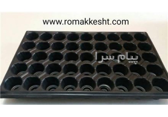 سینی کشت ترکیه