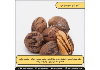 خرید نهال گردو گرمسیری در میاندواب توجه به اینکه نهال گردو پکان مناسب