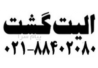 تور روسیه ( مسکو + سن پترزبورگ ) با پرواز معراج اقامت در هتل Holiday In ۴ ستاره