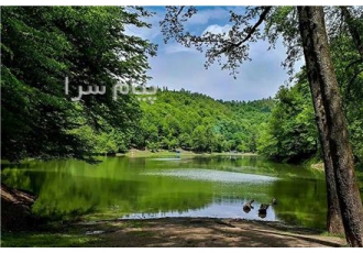 تور ساری اقامت در هتل نوید ۳ ستاره در مشهد تور ساری مبدا خراسان رضوی