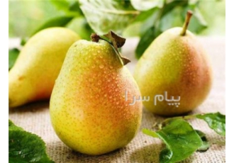خرید نهال گلابی اسپادانا یکی دیگر از ارقام زودرس برای افرادی که میخواند